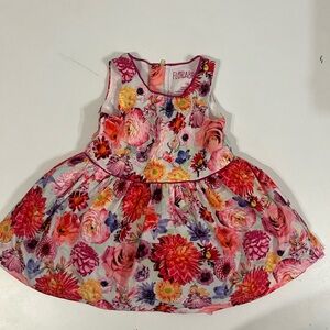 Florabelle Baby Girl Floral Fairy Princess Dress 12M